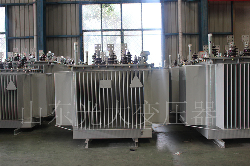 凤城S20-500KVA/10KV